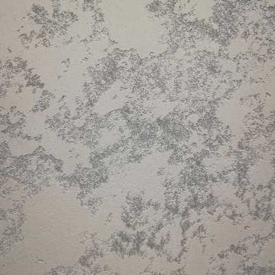 Карта мира 2-х цветная